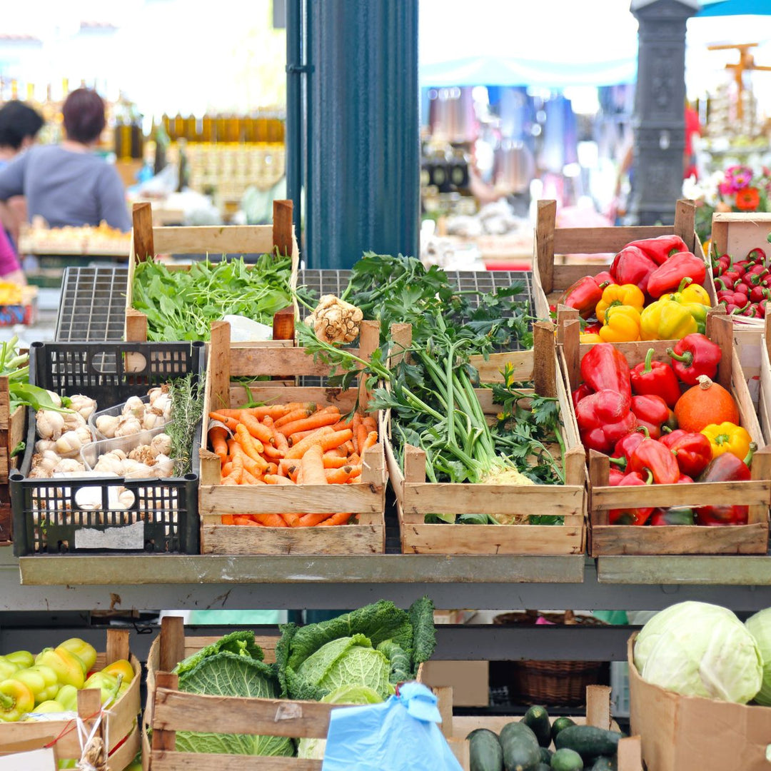 Whyte Ave Food Walk Tours