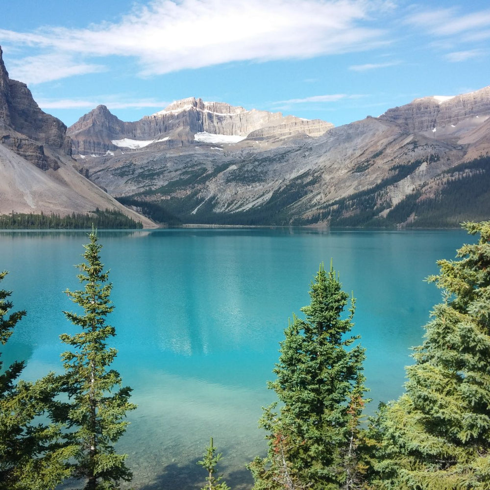 Banff-things-to-go-best-restaurants-Banff-adventure-banff-best-restaurants-downtown-banff-adventure-biking-adventure-group-travel-banff-places-to-eat-banff-glamping-bow-river